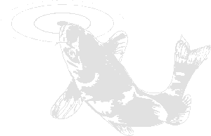 Koiteiche